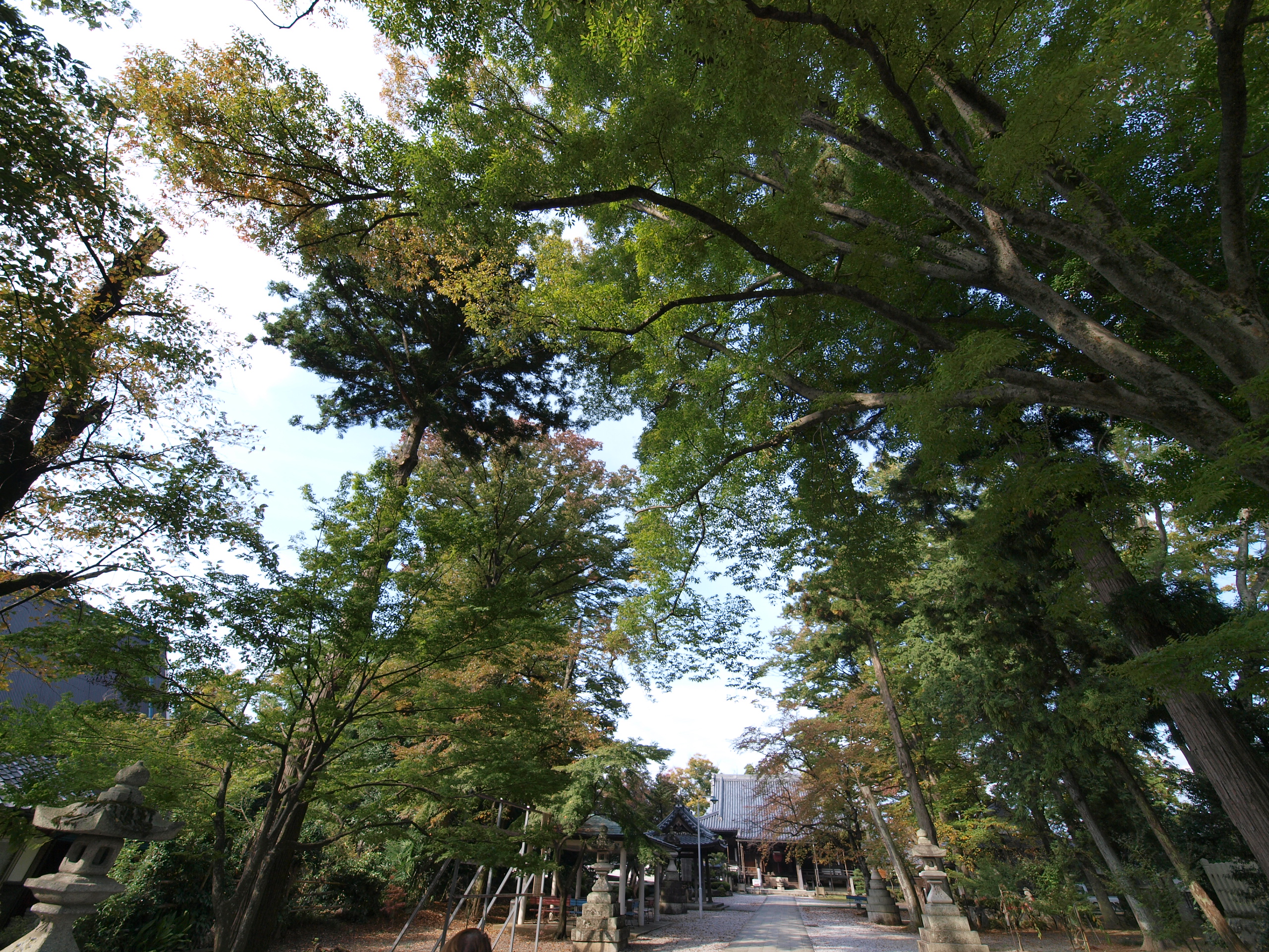 PB021956.JPG
